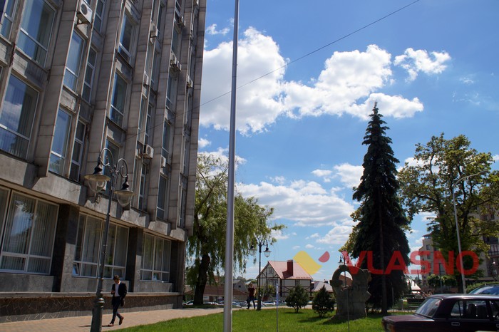 вирізали ялинки біля Вінницької міськради фото