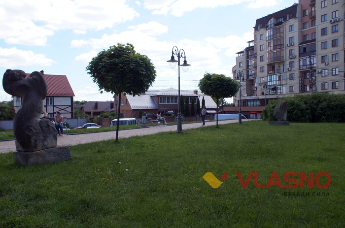 вирізали ялинки біля Вінницької міськради фото