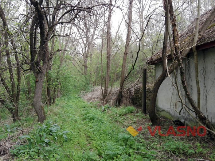 Кривохиженці фото