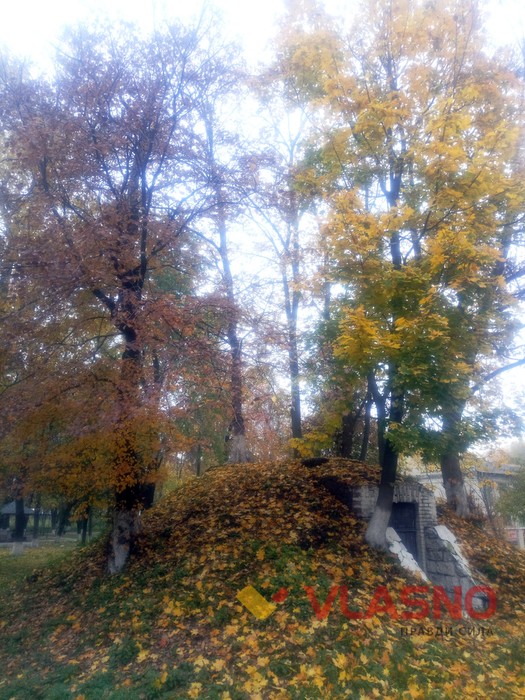 басейн у Козятині фото