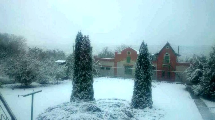 сніг у Харкові фото