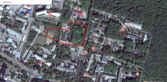 вирубка лісу фото