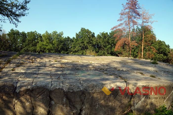 Верфольф фото