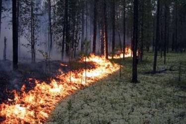 пожежа фото