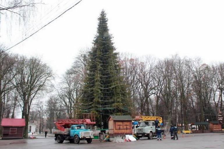 ялинка у Вінниці фото
