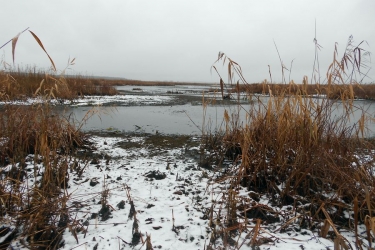 Рівень води  &laquo;Згарському&raquo; заказнику відповідає нормі
