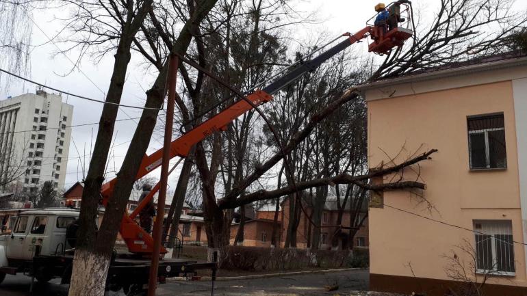 Наслідки негоди: на лікарню Пирогова у Вінниці впало дерево