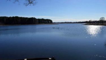 Став на Ямпільщині орендує родина директора Стрижавського будинку-інтернат