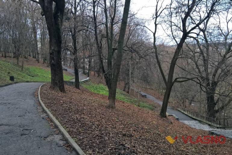 Кумбари у Вінниці фото