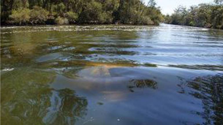 На Вінниччині водій мало не втратив автівку