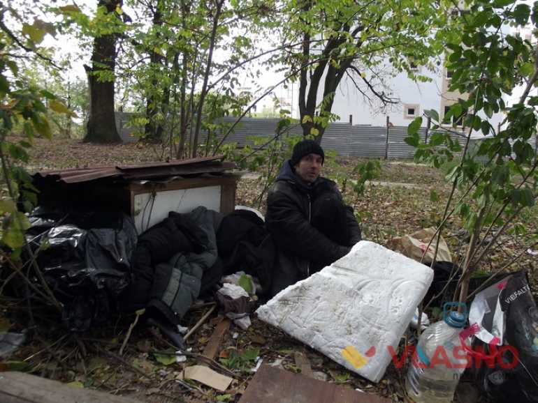 Вінницьких безхатченків заберуть з вулиць