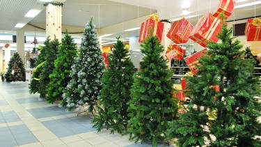 Тверда, пружна та міцно закріплена: як вінничанам правильно обрати штучну ялинку