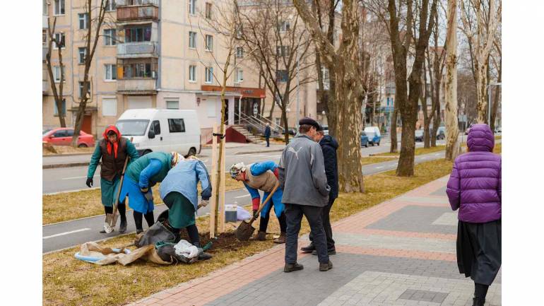 У Вінниці побільшає зелених насаджень: почалась весняна висадка дерев