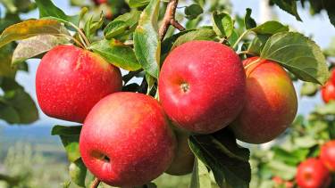 На Вінниччині за півмільйона євро відкриють туристичний шлях