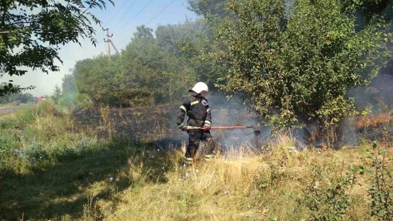 Впродовж доби пожежі знищили 13 гектарів сухої рослинності на Вінниччині