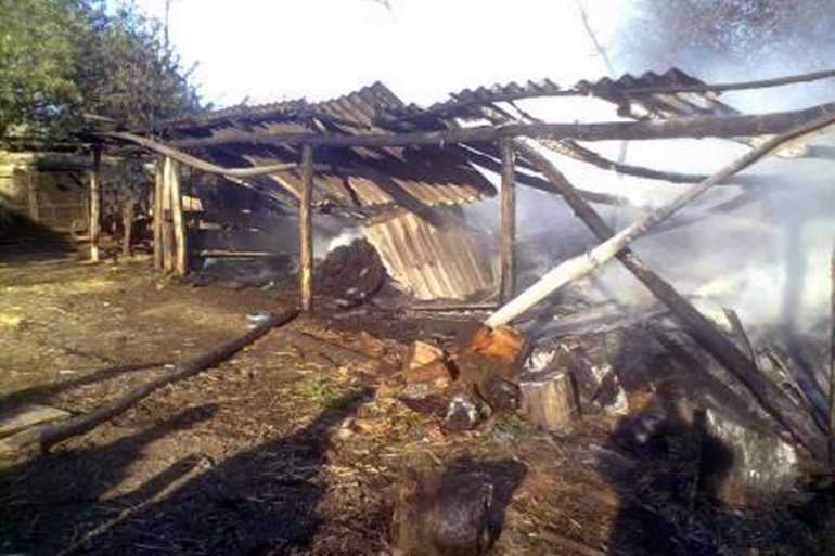пожежа у селі Вітрівка фото