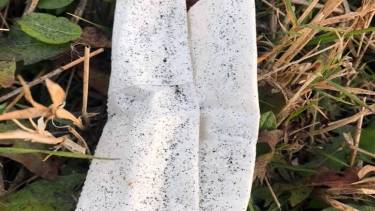 сажа в Гайсині фото