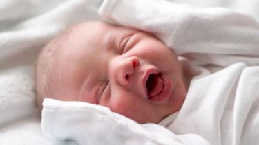 За п`ять років у Вінниці народилися майже сотня новорічно-різдвяних малюків