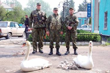 Тульчинських бійців на війну провела лебединна сім'я фото