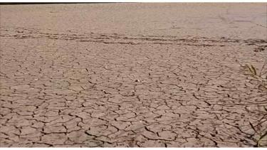 Екологічна катастрофа на Шаргородщині: в селі Хоменки за літо третій раз пересихає став