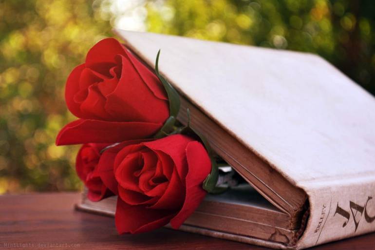 За куплену книгу дарували троянду 