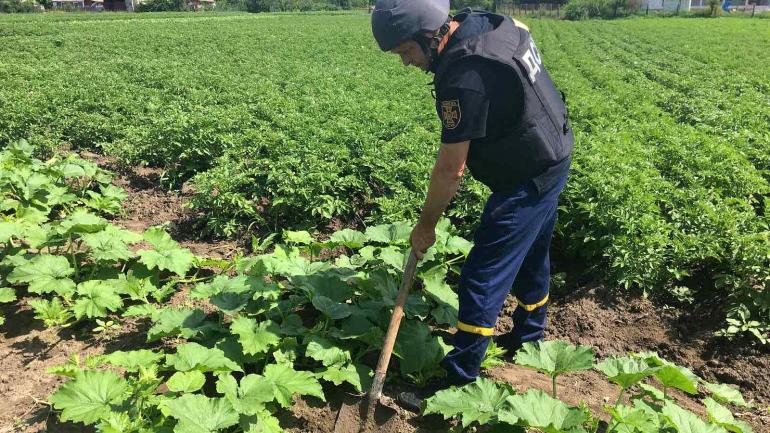 На городі у мешканців Вінниччини знайшли старі боєприпаси