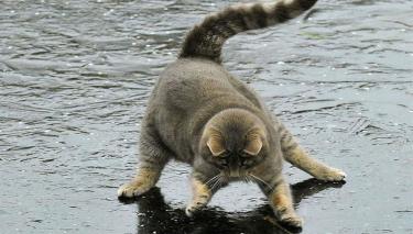 В Іллінцях зменшують видатки на боротьбу з льодом