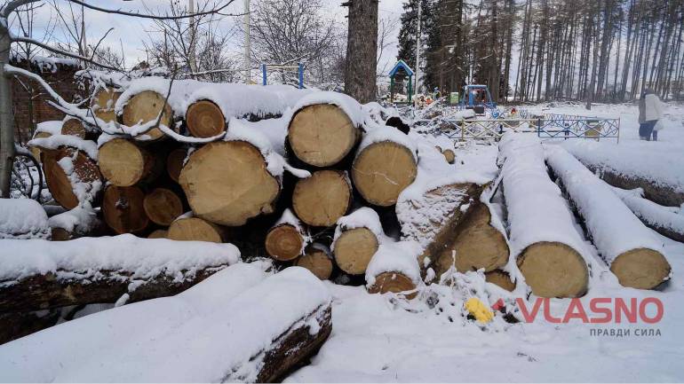 У П&rsquo;ятничанському парку Вінниці масово зрізають сухі дерева, замість них посадять нові