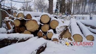 У П&rsquo;ятничанському парку Вінниці масово зрізають сухі дерева, замість них посадять нові