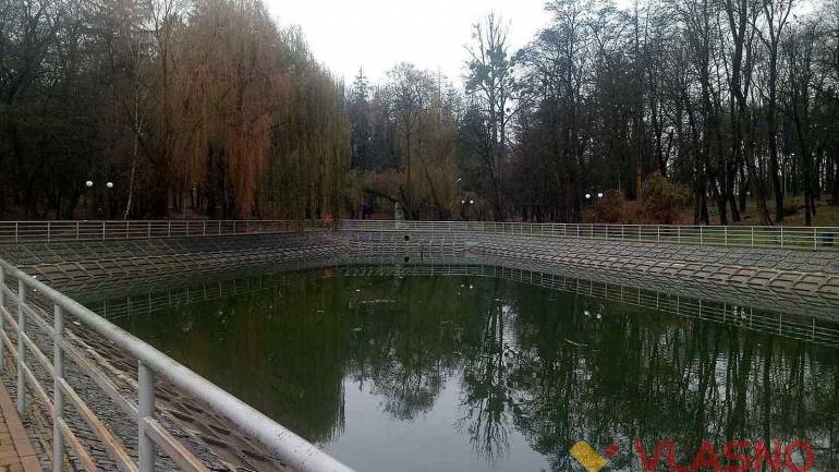 &laquo;Вона була вся у кризі&raquo;: вінничанка врятувала шістьох черепах із замерзлого ставка