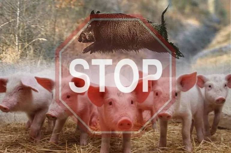 У Польщі побудують стіну на кордоні з Україною