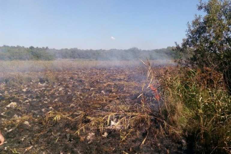 Вінницькі рятувальники вже добу не можуть загасити півгектара торфовищ