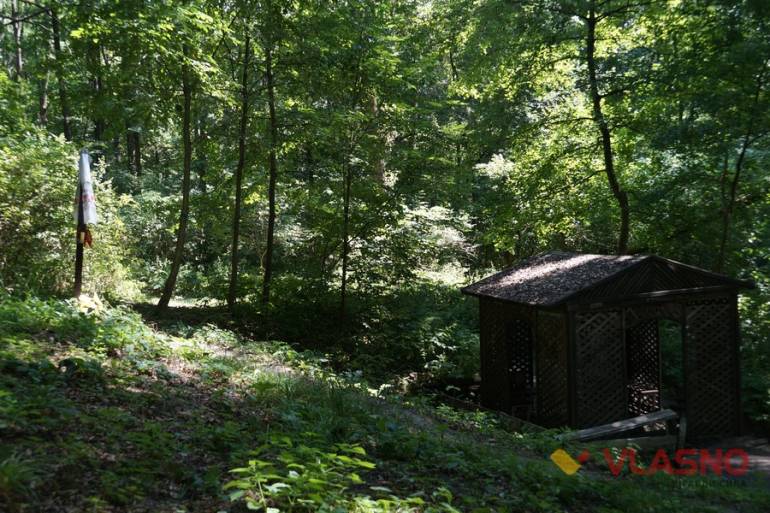 цілюще джерело біля села Селище фото