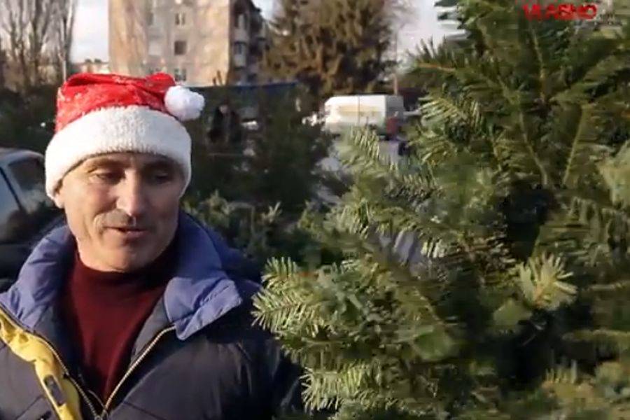 Жива чи штучна новорічна ялинка