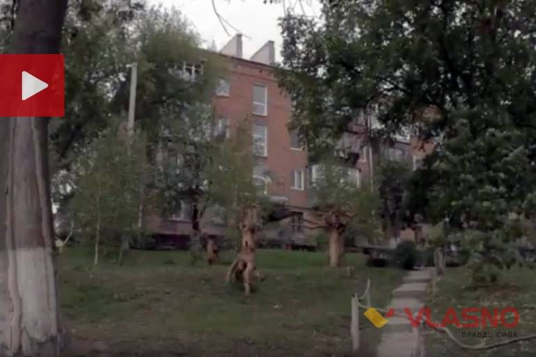 будинок на вулиці Свердлова 127 у ВІнниці фото