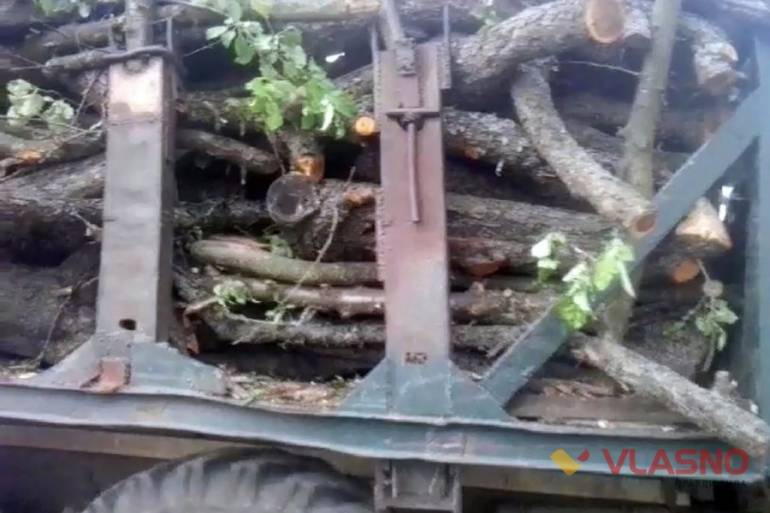 вирізання яблуневого саду у селі Лісова Лисіївка на Вінниччині фото