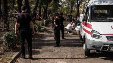 На Вінниччині дерево вбило чоловіка