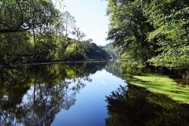 природний парк фото