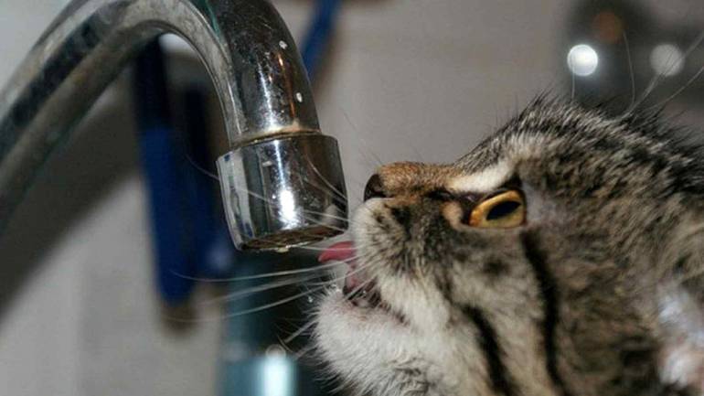 У Вінниці на Старому місті відключать воду на два дні