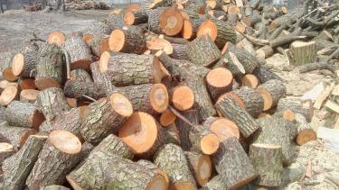 На дрова для бершадських шкіл витратять понад мільйон гривень