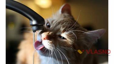 Одноразовий посуд, вологі серветки та бутлі з водою &ndash; вінницькі ресторани готуються до відключення води