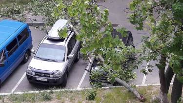 Штормовий вітер у Вінниці повалив дерево на автівки