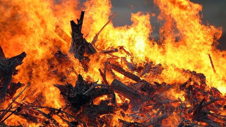 У Чорнобильській зоні ліквідовують лісову пожежу, дим затягнув два райони Києва