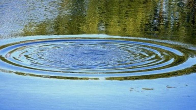 В Козятинському районі у сільській водоймі виловили тіло чоловіка