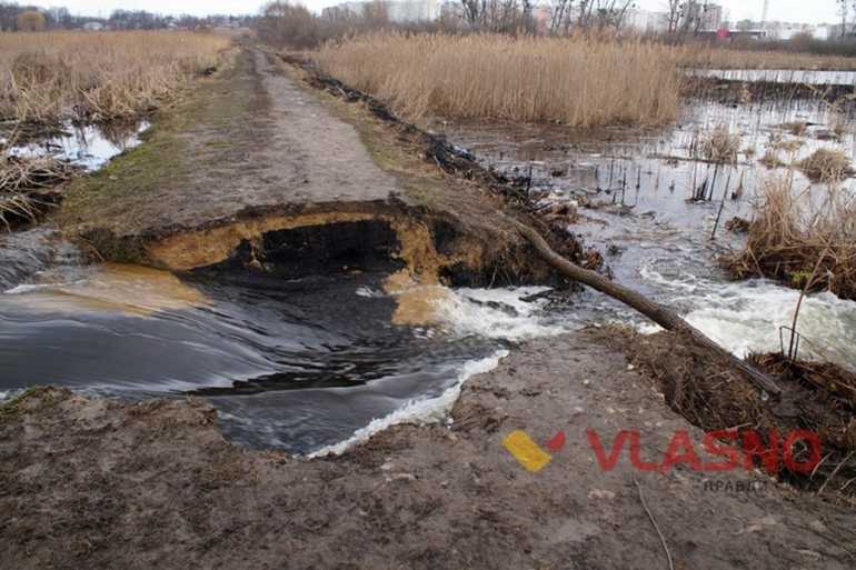 качатник у Вінниці фото