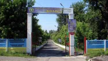 У Вінниці через карантин під загрозою закриття популярний дитячий табір