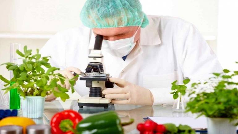 На Вінниччині харчові продукти перевіряють за євростандартами