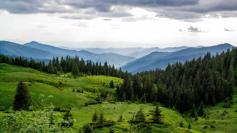 З'явилася інформація про падіння літака під Яремчею, ведуться пошукові роботи