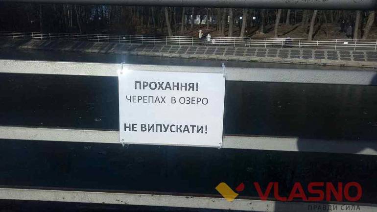 Дирекція Центрального міського парку Вінниці забороняє викидати черепах у став