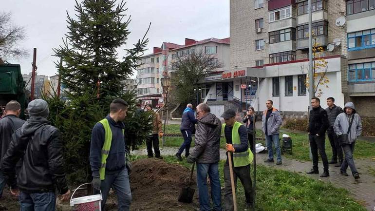 У Вінниці посадили 5-метрову ялинку до новорічних свят